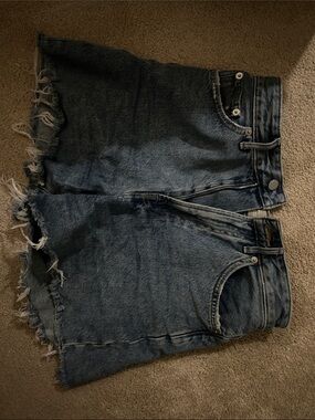 Everlane A-Line Denim Shorts